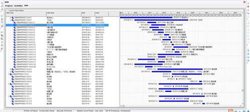 致远项目管理SPM系统与Oracle P6进度管理软件集成的信息系统集成服务